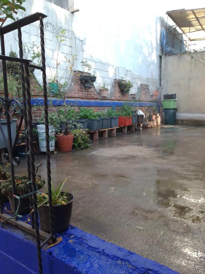 Coyoacan Departamento Tipo Colonial Мексико Сити Екстериор снимка