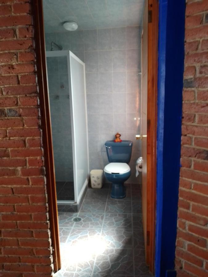 Coyoacan Departamento Tipo Colonial Мексико Сити Екстериор снимка