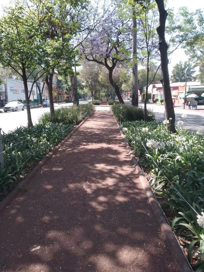 Coyoacan Departamento Tipo Colonial Мексико Сити Екстериор снимка